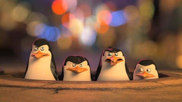 pinguinos madagascar dreamworks animation