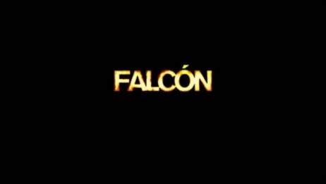 falcon