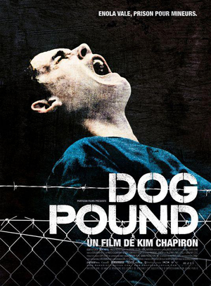dog pound (la perrera)