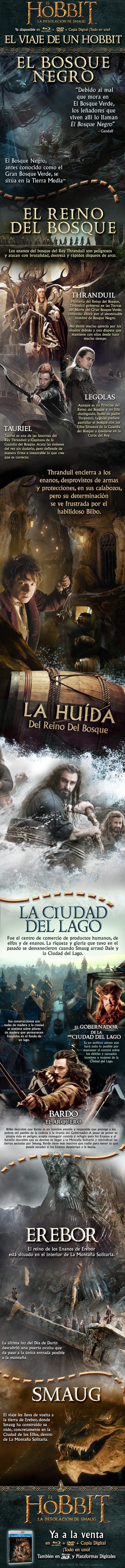 infographic_dos_journey_discreet_espanol