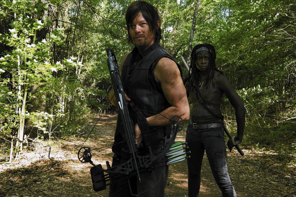 daryl dixon y michonne