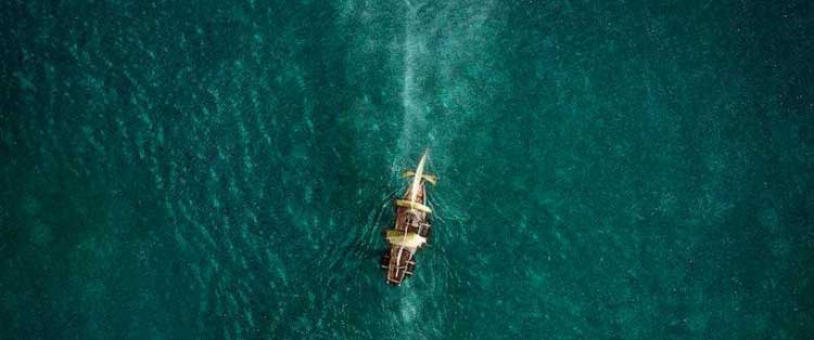 tráiler de in the heart of the sea, ¡ballena a la vista!