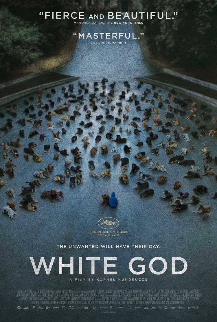 póster de white god
