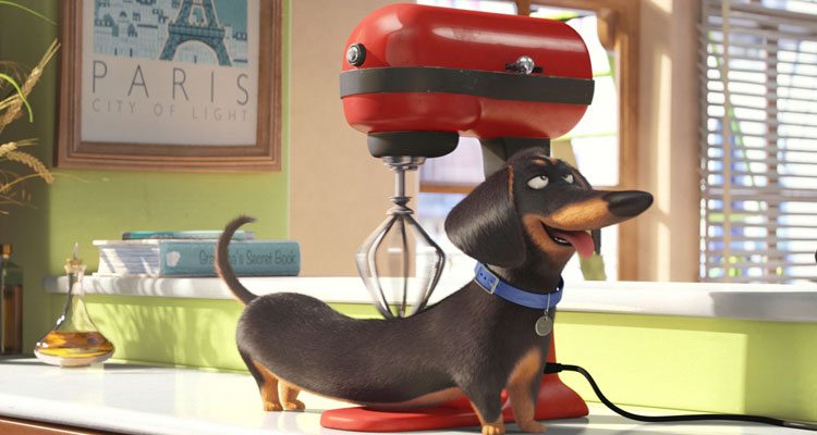 mascotas - the secret life of pets