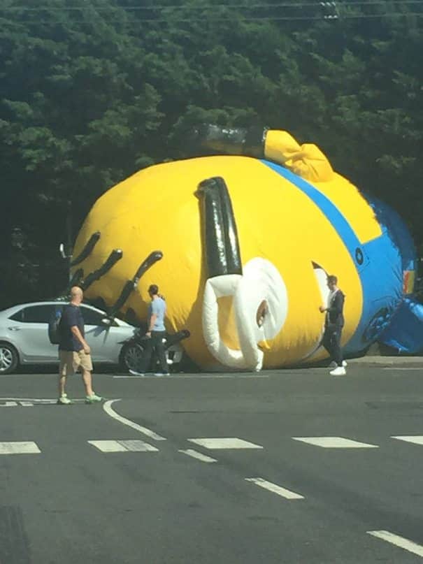 un minion gigante provoca el caos en las carreteras de irlanda