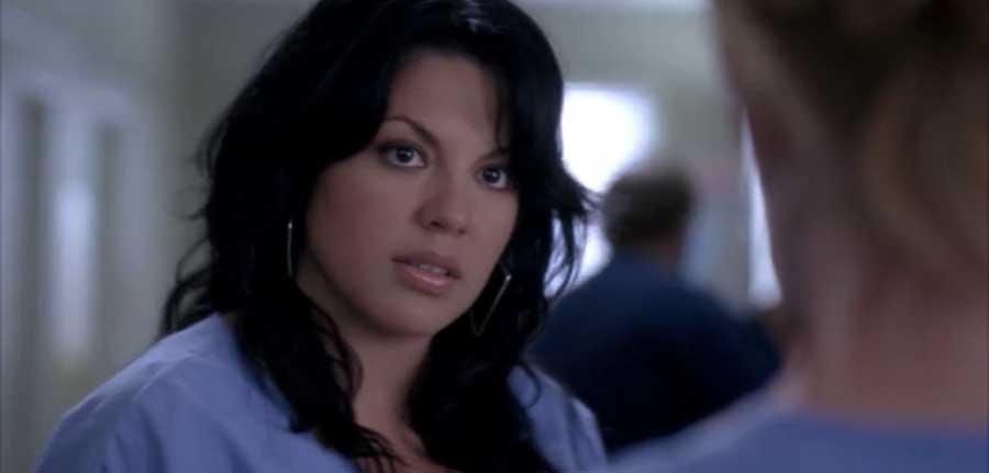 anatomía de grey fox