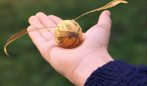 ¿y si existiera un harry potter go?