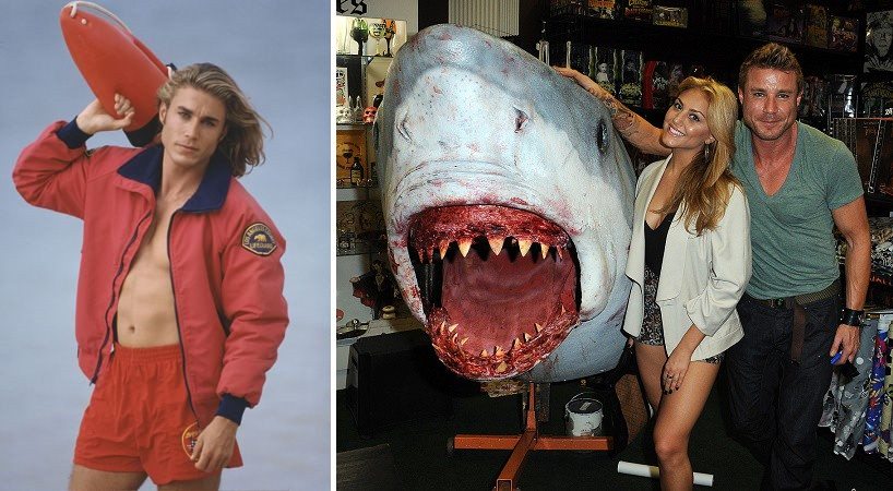 los vigilantes de la playa