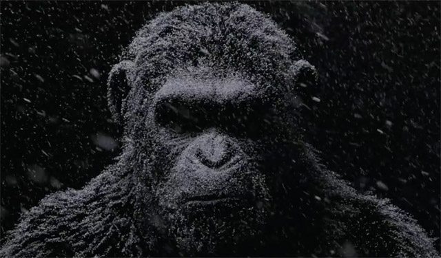 trailer internacional war for the planet of the apes. la guerra del el planeta de los simios