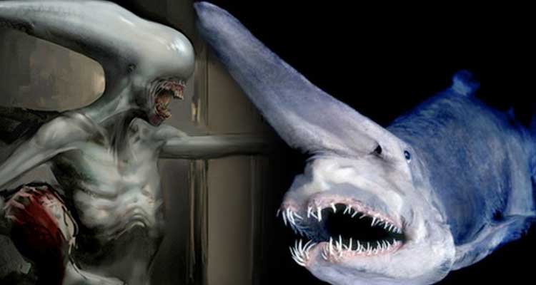 tiburon duende alien: covenant