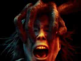 the gracefield incident