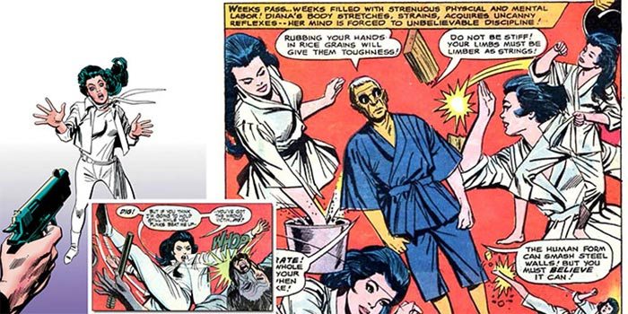 wonder woman: kung fu