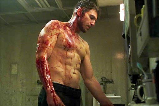 the punisher (netflix)