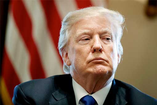 trump películas y videojuegos violentos