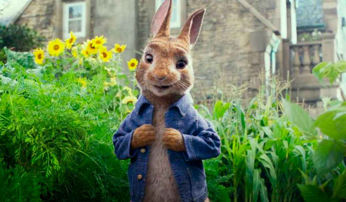 peter rabbit
