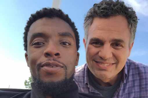 bruce banner y black panther vengadores: infinity war