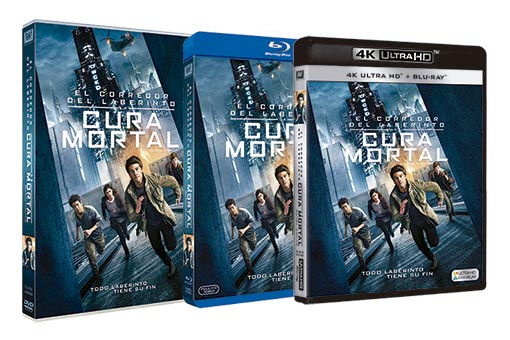 el corredor del laberinto: la cura mortal - dvd - blu-ray dest