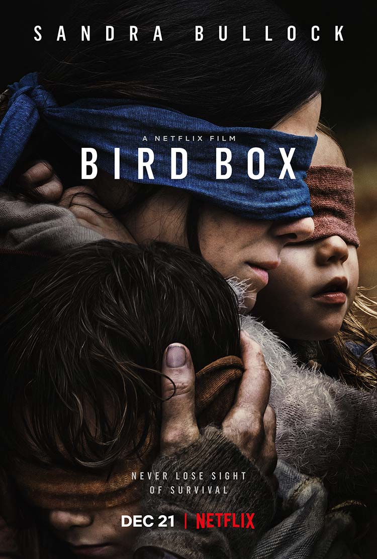 poster de a ciegas bird box con sandra bullock