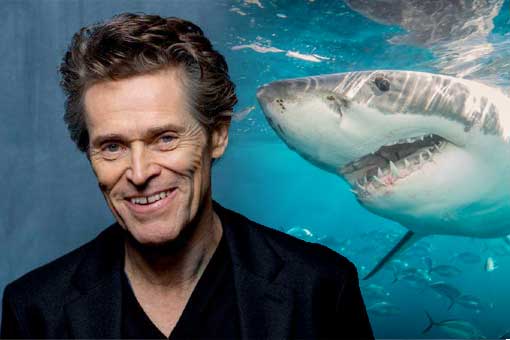aquaman: primera imagen de willem dafoe cabalgando un tiburón
