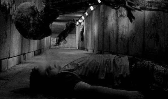 curiosidades harry potter