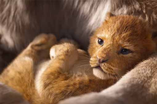 primer tráiler de el rey león: simba regresa por todo lo alto