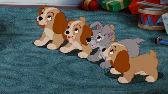 el reboot de la dama y el vagabundo usará perros reales en vez de cgi