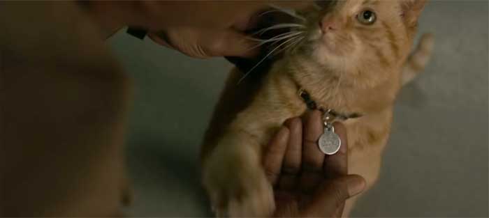 ¿nick fury perderá el ojo por culpa del gato de capitana marvel?