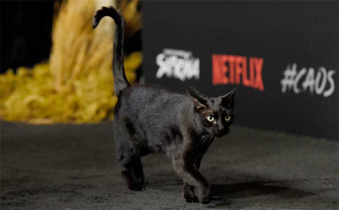 ¿en sabrina temporada 2 hablará el gato salem? tenemos la respuesta
