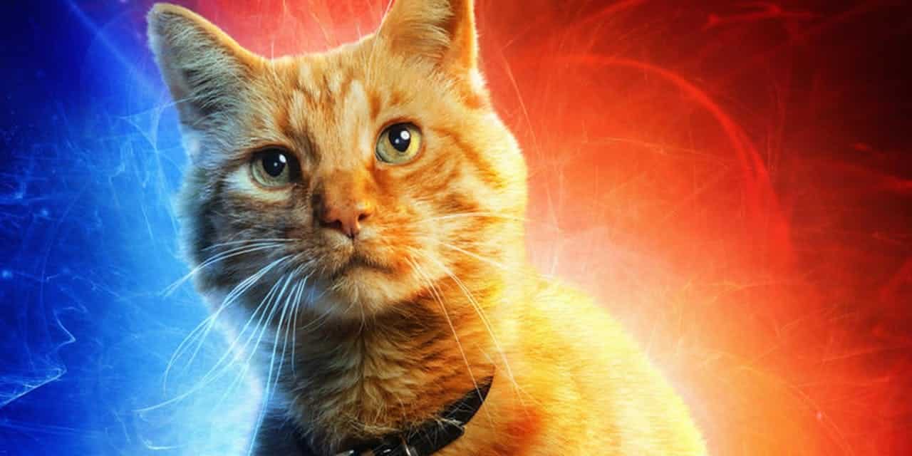 marvel studios gato goose