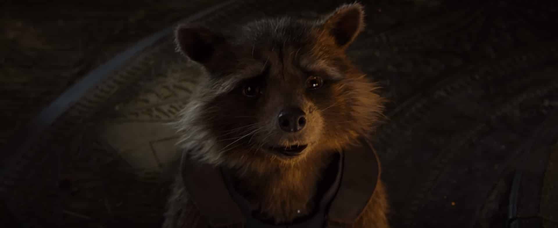 rocket raccon