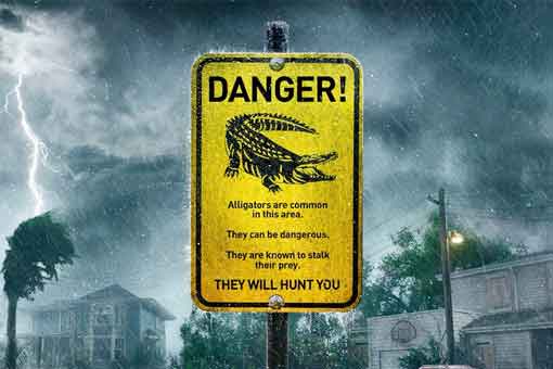 tráiler crawl: caimanes hambrientos con muy malas intenciones