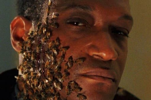 candyman comenzó con su producción y confirmó al protagonista