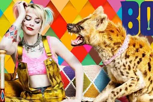 explicación de por qué harley quinn tiene una hiena en aves de presa