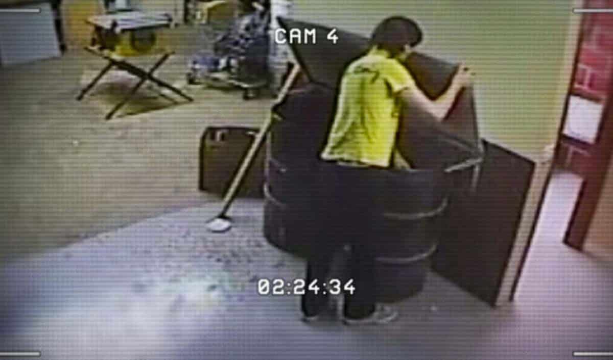 crítica de no te metas con los gatos: un asesino en internet