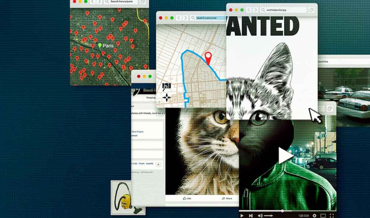 crítica de no te metas con los gatos: un asesino en internet