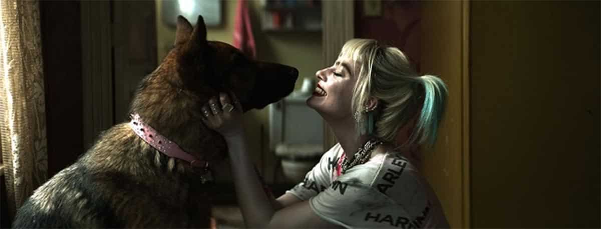 así hicieron la hiena en la película harley quinn: aves de presa