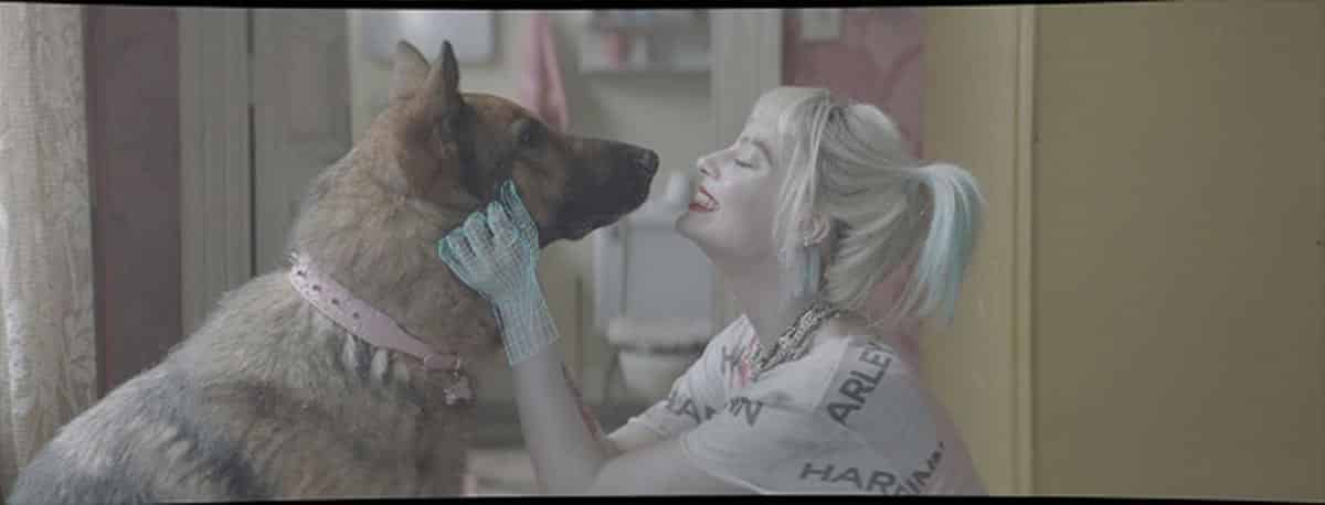 así hicieron la hiena en la película harley quinn: aves de presa