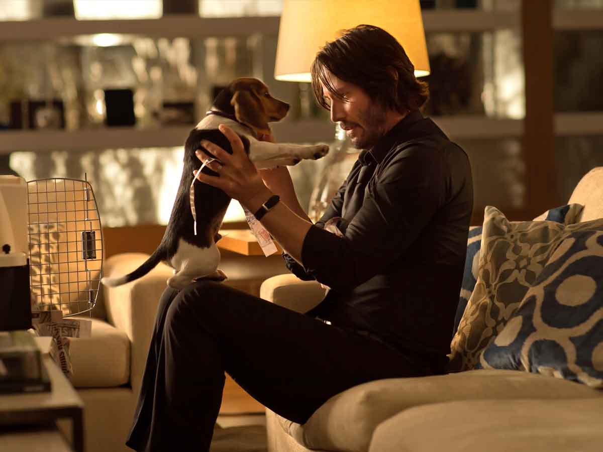 los directores de john wick tuvieron que luchar contra el estudio para matar al perro
