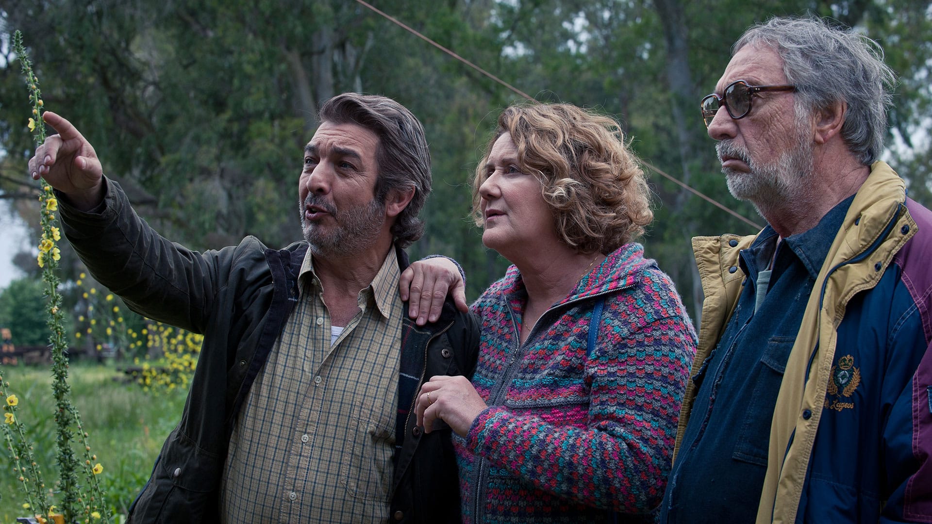 crítica a la odisea de los giles