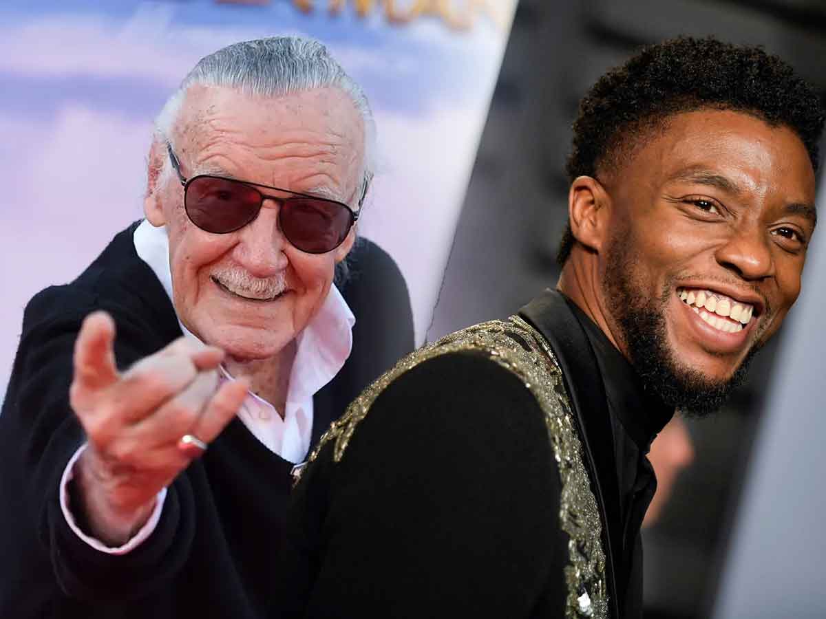 espectacular fan art tributo a chadwick boseman y stan lee