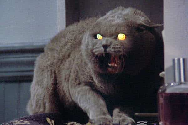 el cementerio viviente