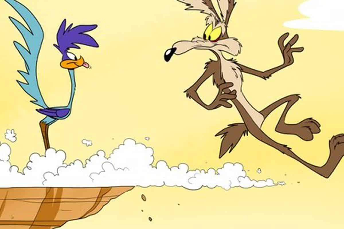 coyote vs acme