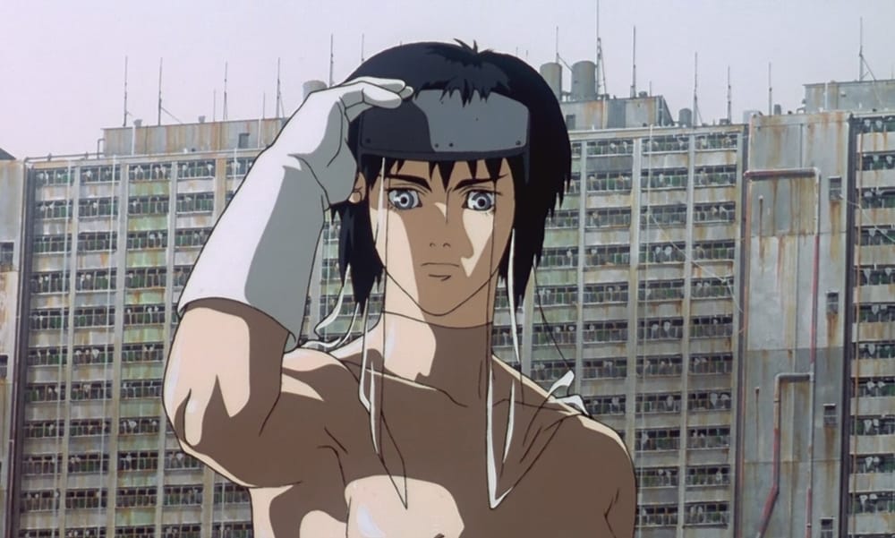 5 películas animadas para adultos