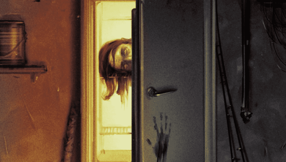 dc y su nueva entrega: refrigerator full of heads