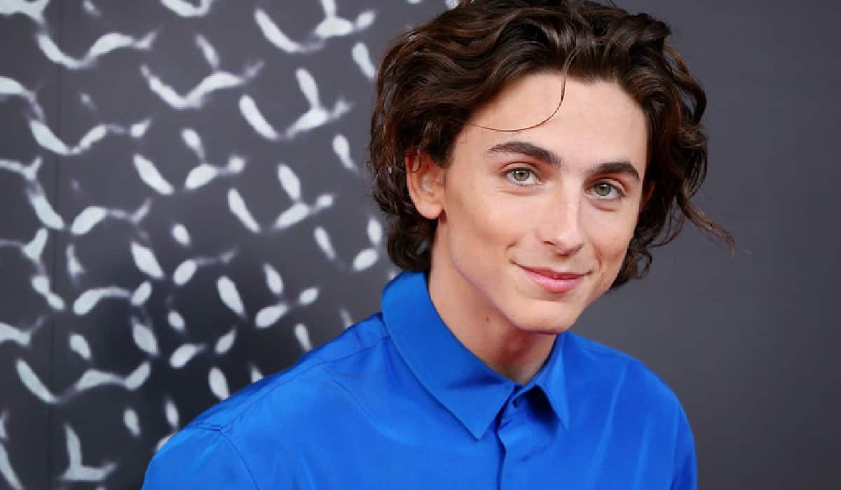 esto dijo timothée chalamet sobre spider-man: no way home