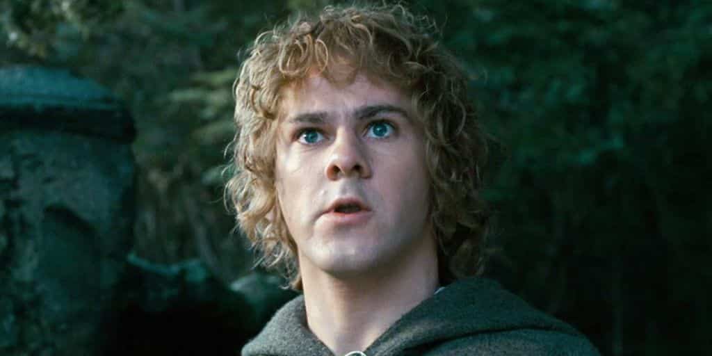 dominic monaghan merry