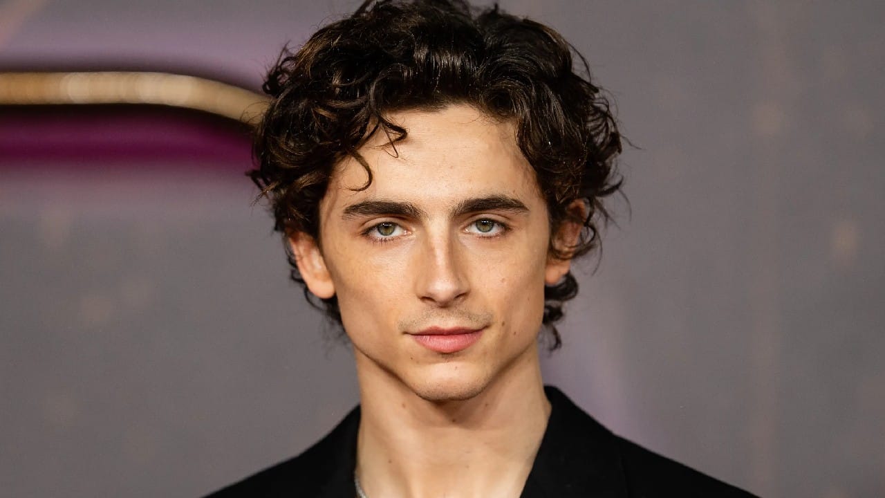 timothée chalamet personalizaba y vendía mandos de xbox 360
