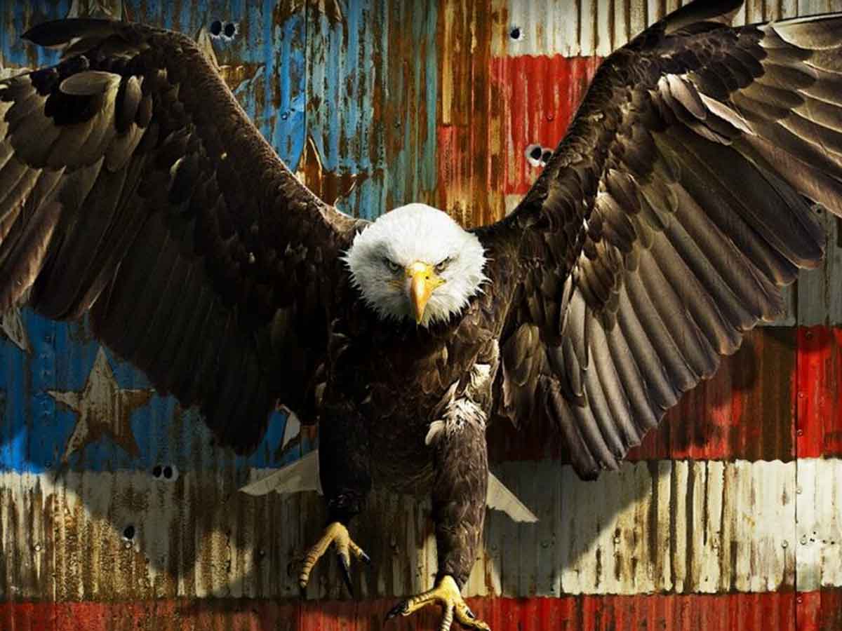 eagle el águila peacemaker