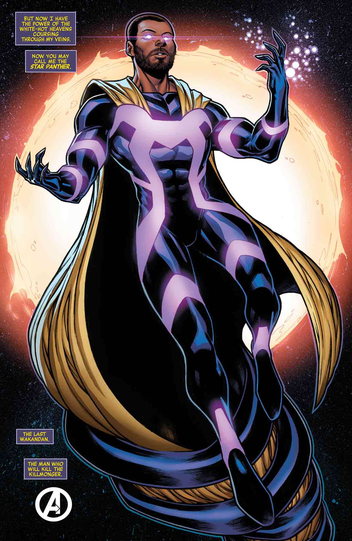 star panther black panther