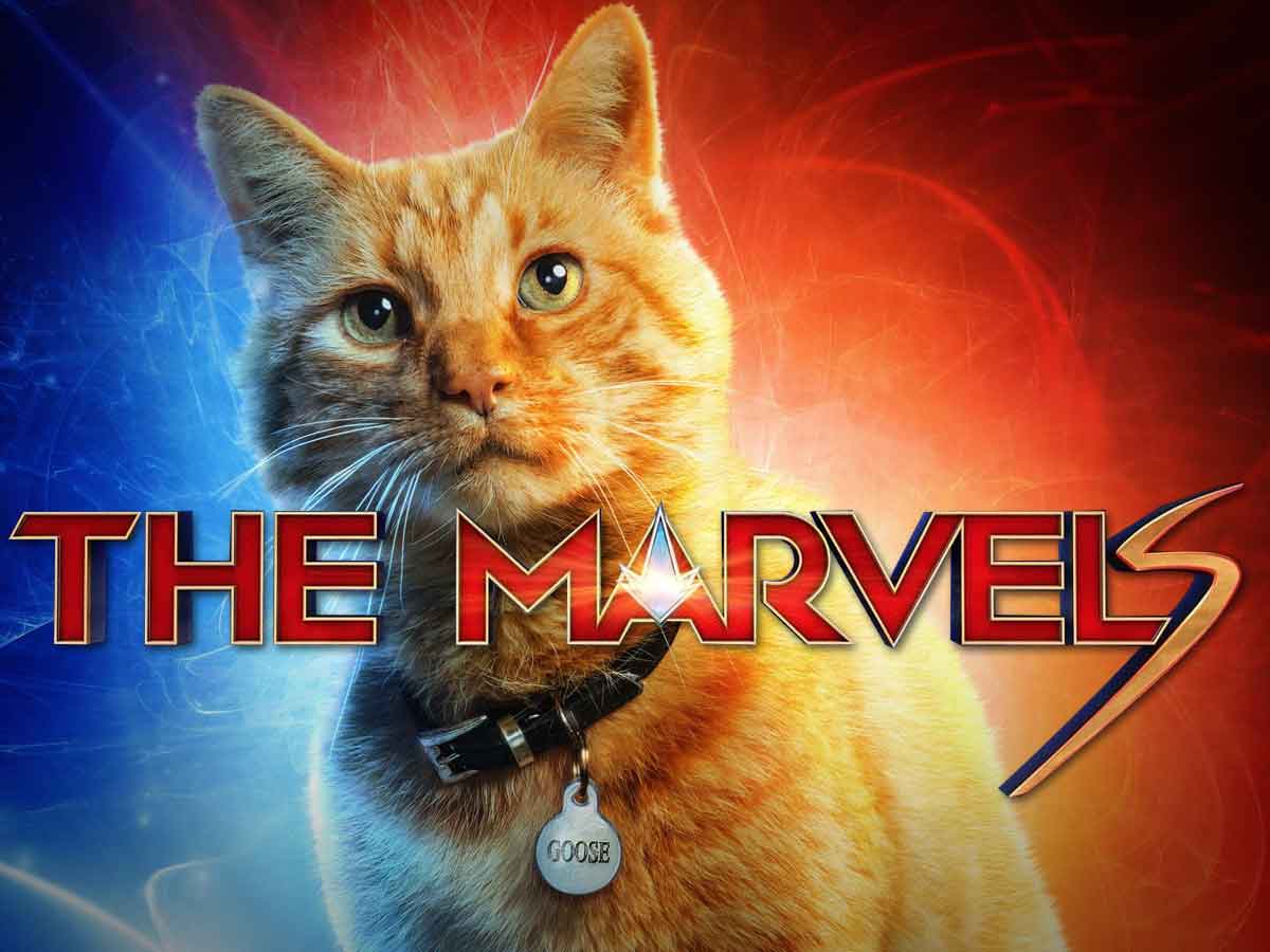 the marvels (capitana marvel 2) goose - flerkens